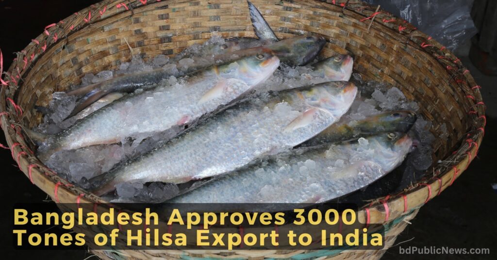 Bangladesh Approves 3000 Tones of Hilsa Export to India for Durga Puja 2024