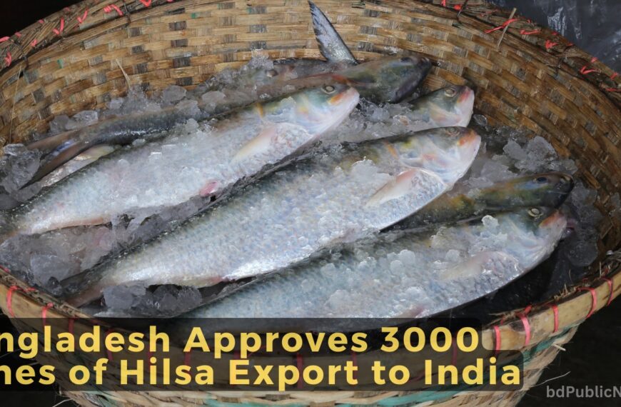 Bangladesh Approves 3000 Tones of Hilsa Export to India for Durga Puja 2024