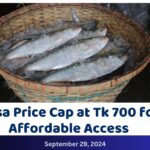 Supreme Court Lawyer Demands Hilsa Price Cap at Tk 700 for Affordable Access